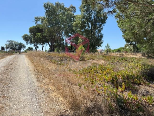 Terreno venda em Sesimbra (Castelo), Sesimbra