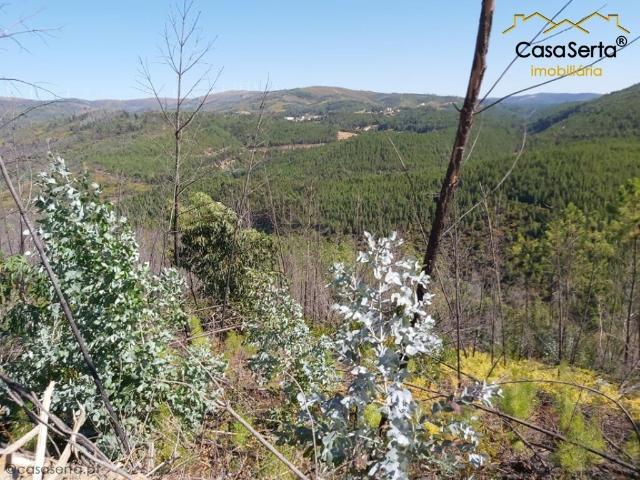 Terreno venda em Castelo Branco, Oleiros