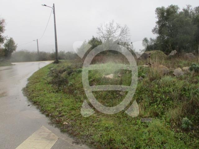Terreno venda em Penela, Coimbra