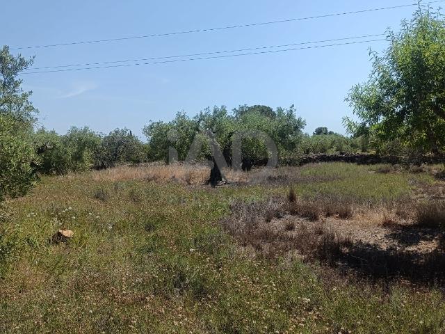 Terreno en venta en les Tres Cales, Baix Ebre
