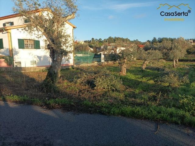 Terreno venda em Castelo Branco, Cumeada