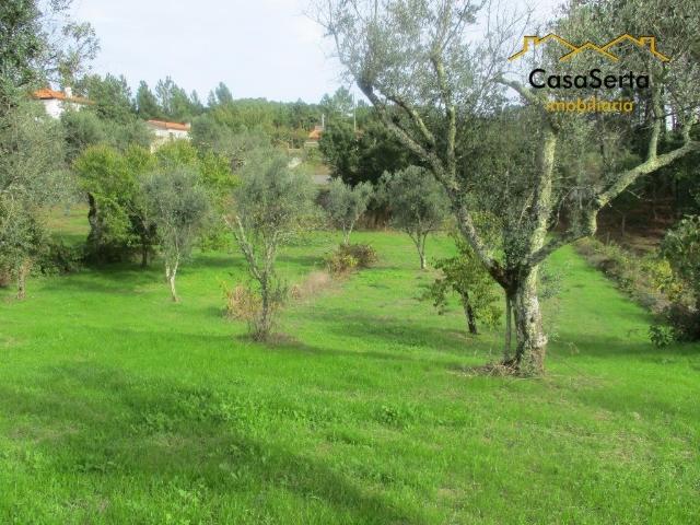 Terreno venda em Castelo Branco, Cumeada