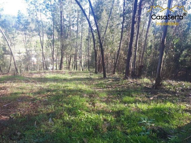 Terreno venda em Castelo Branco, Cumeada