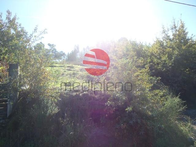 Terreno venda em Sarzedelo, Viseu