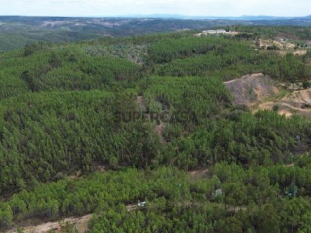 Terreno venda em Castelo Branco