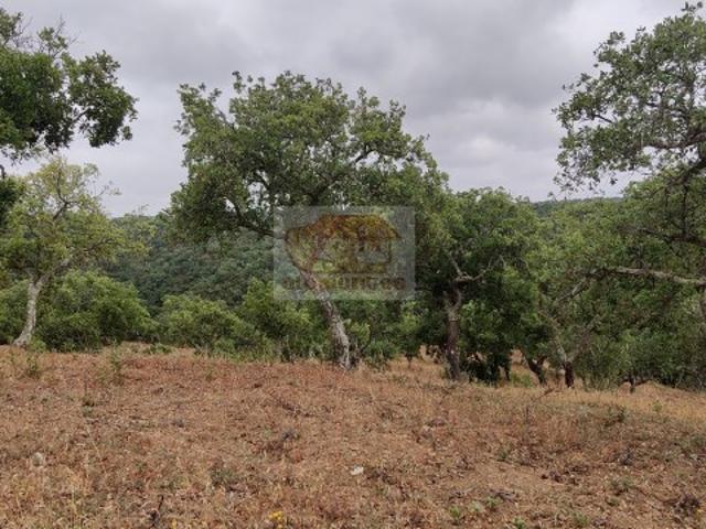 Terreno venda em Grândola, Setúbal