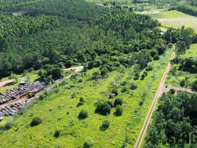 Terreno venda em Região Geográfica Imediata de Charqueadas - Triunfo - São Jerônimo, Região Metropolitana de Porto Alegre