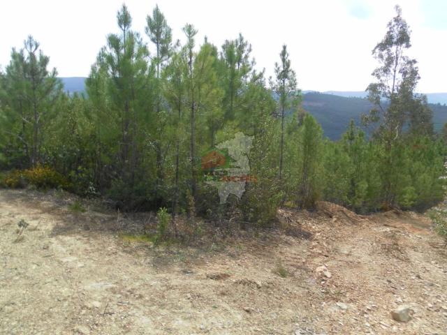 Terreno venda em Castelo Branco, Oleiros