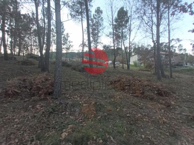 Terreno venda em Viseu
