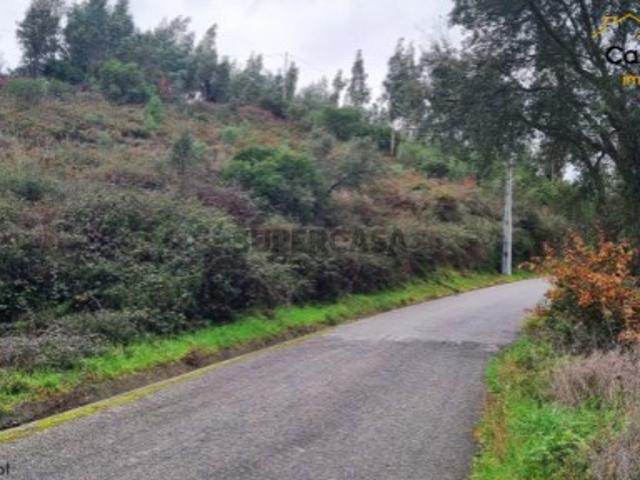 Terreno venda em Castelo Branco