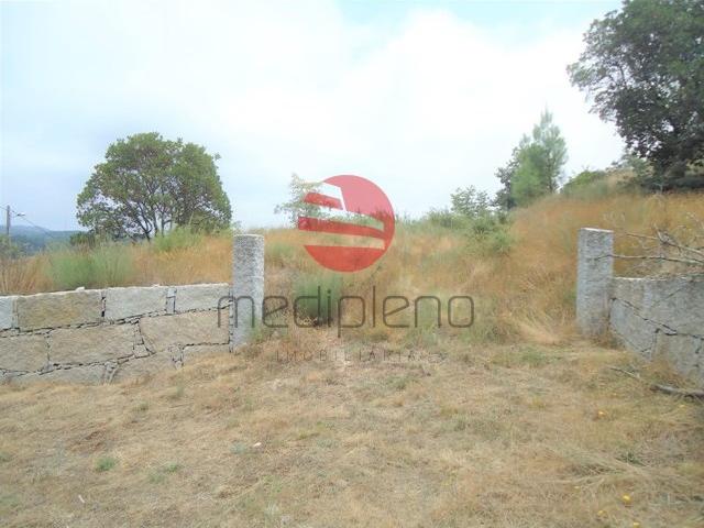 Terreno venda em Sarzedelo, Viseu