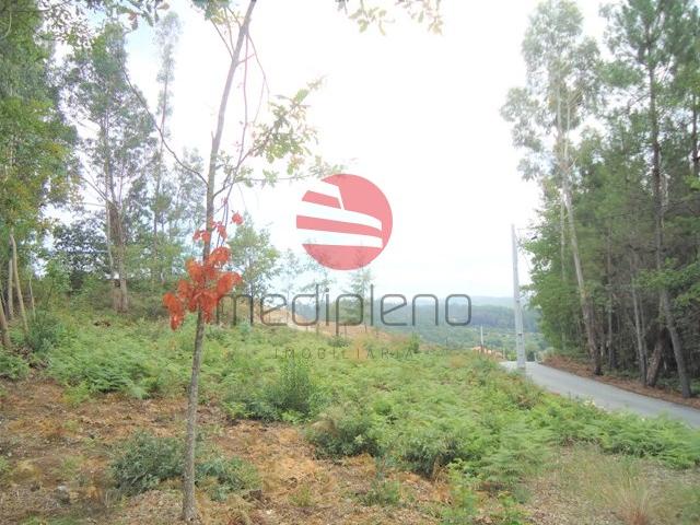Terreno venda em Sarzedelo, Viseu
