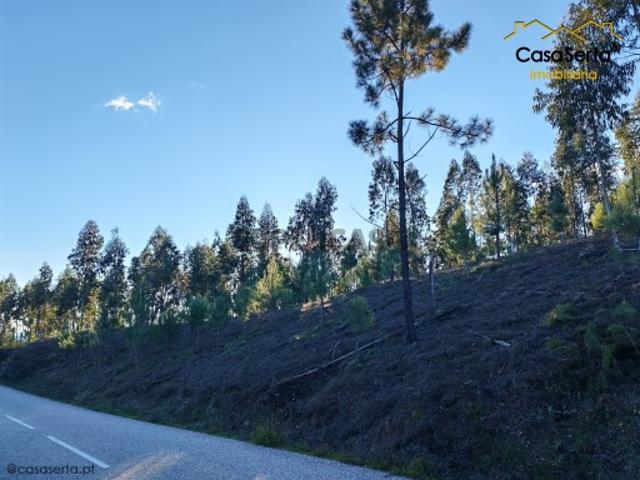 Terreno venda em Castelo Branco, Cumeada