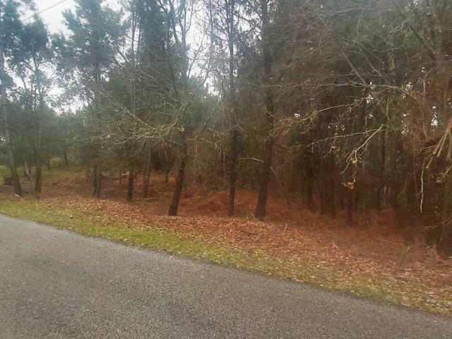 Terreno venda em Castelo Branco, Cumeada