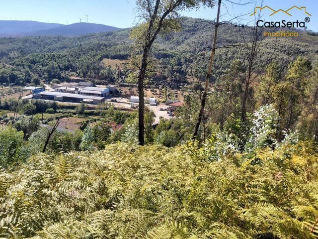 Terreno venda em Castelo Branco, Oleiros