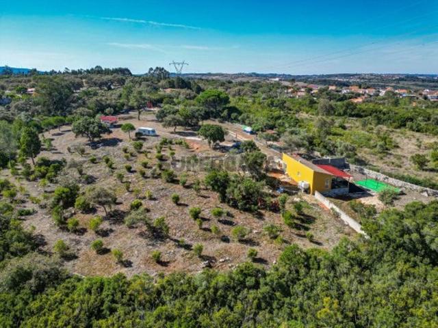 Terreno venda em Alcobaça, Leiria