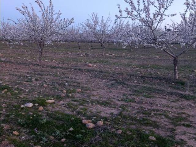 Local Comercial en venta en Noroeste, Murcia