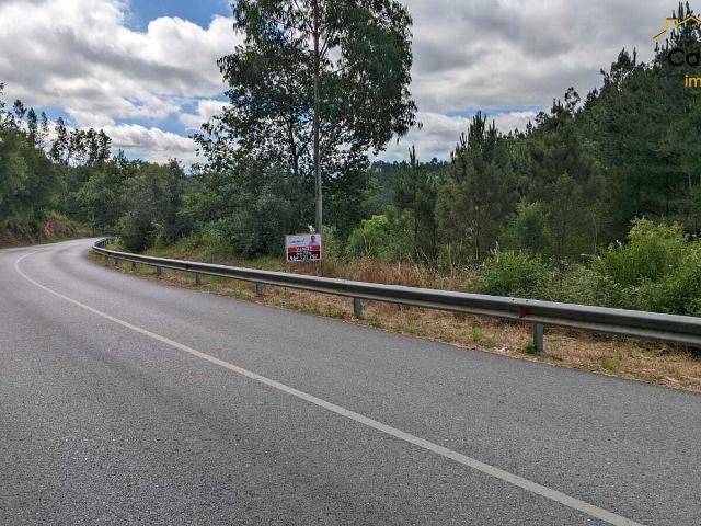 Terreno venda em Castelo Branco, Cumeada