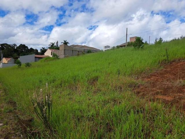 Terreno venda em Região Geográfica Imediata de Pouso Alegre, Borda da Mata
