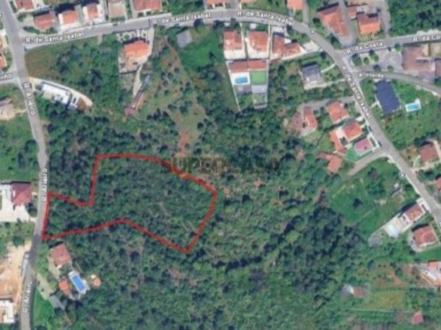 Terreno venda em Coimbra