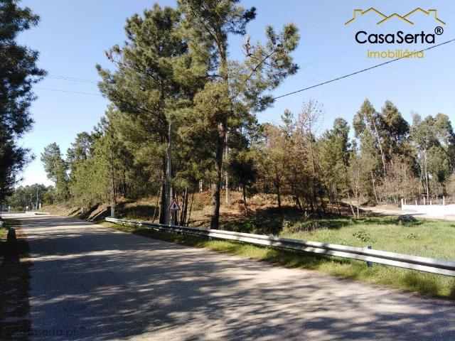 Terreno venda em Castelo Branco, Cumeada