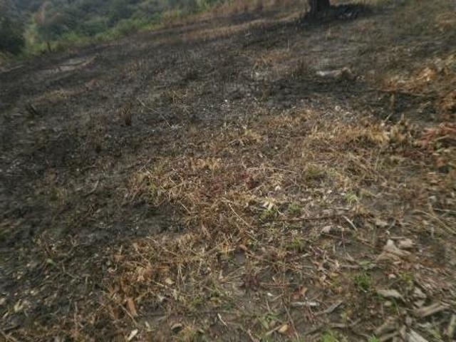 Terreno venda em Região Geográfica Imediata de Belo Horizonte, Região Metropolitana de Belo Horizonte