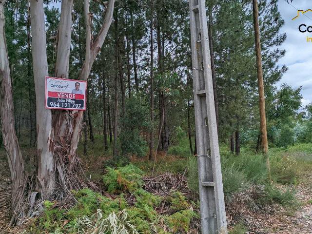 Terreno venda em Castelo Branco, Cumeada