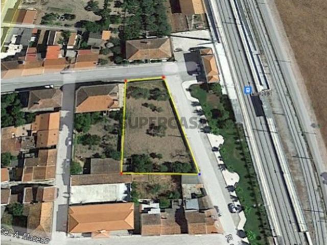 Terreno venda em Castelo Branco