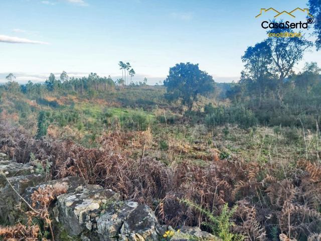 Terreno venda em Castelo Branco, Vila De Rei