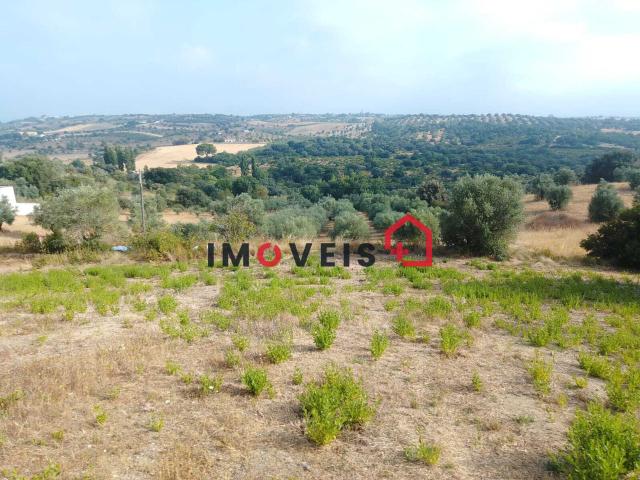 Terreno venda em Santarém