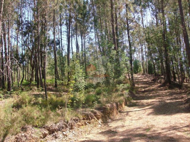Terreno venda em Pedrógão Grande, Leiria