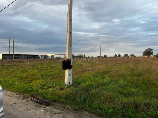 Terreno venda em Cortiçóis, Almeirim