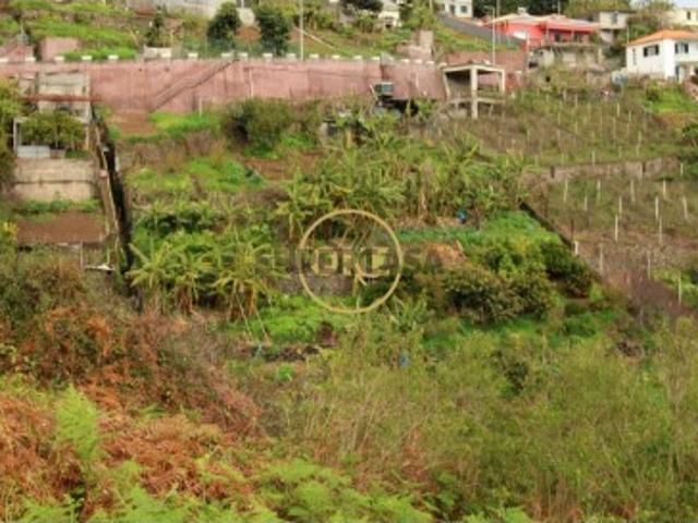 Terreno venda em Estreito de Câmara de Lobos, Câmara De Lobos