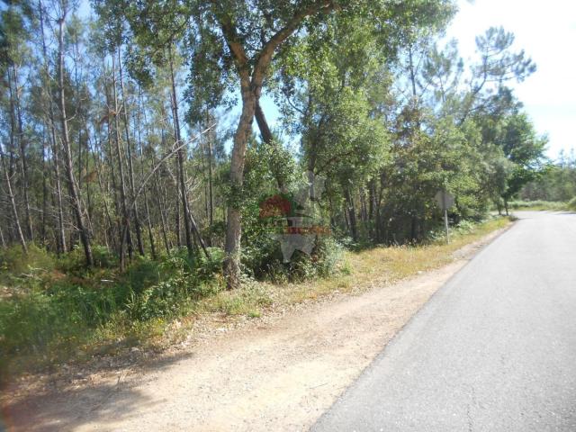 Terreno venda em Castelo Branco, Cumeada