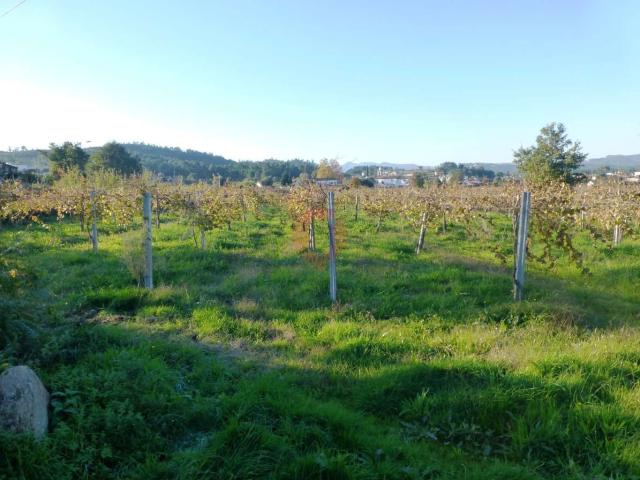 Terreno venda em Monção, Viana Do Castelo