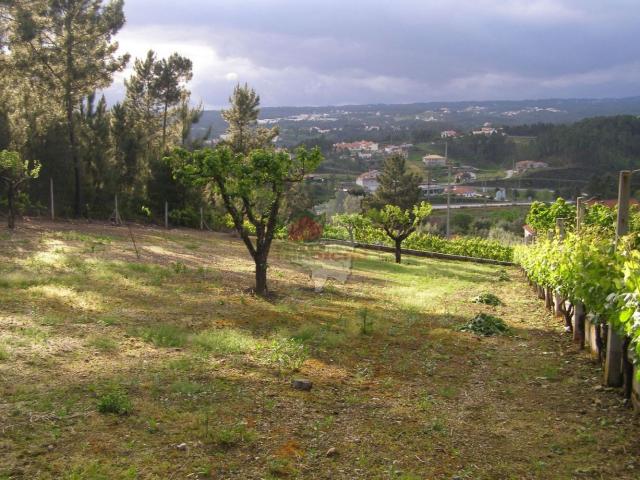Terreno venda em Castelo Branco, Cumeada