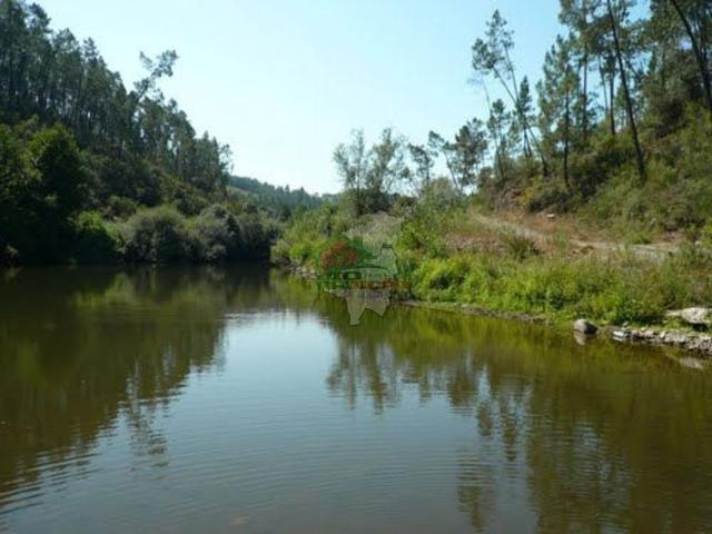 Terreno venda em Castelo Branco, Cumeada
