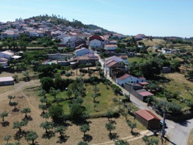 Terreno venda em Castelo Branco