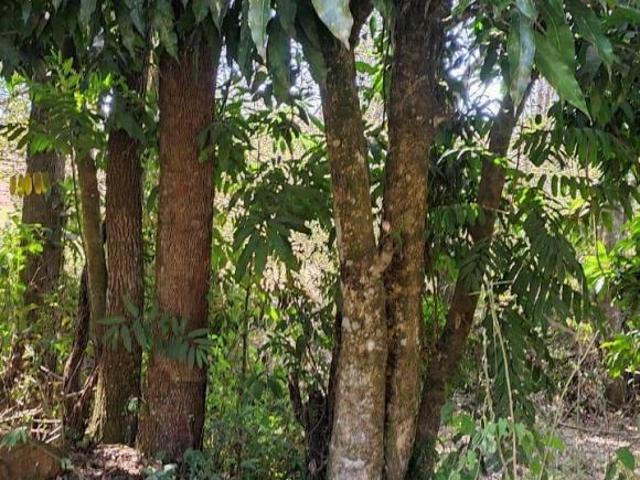 Terreno venda em Região Geográfica Imediata de Oliveira, Região Metropolitana de Belo Horizonte