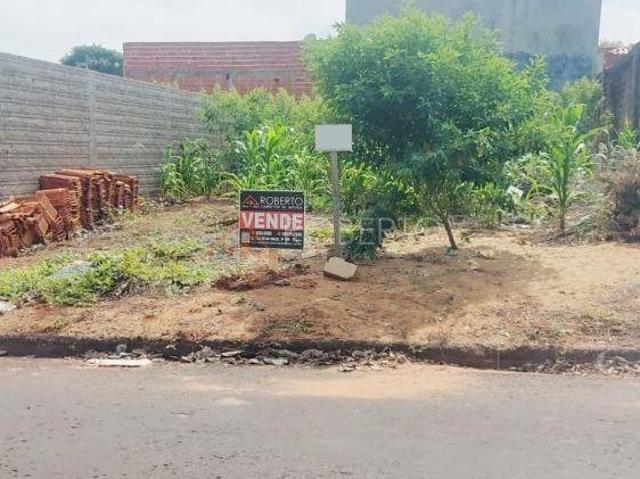 Terreno venda em Região Geográfica Imediata de Paranavaí, Paranavaí