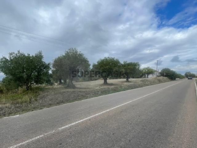 Terreno venda em Torres Novas, Santarém