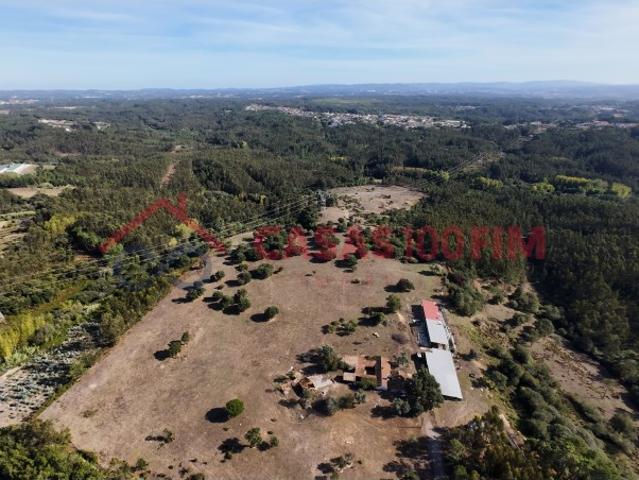 Terreno venda em Leiria