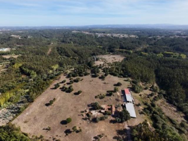 Terreno venda em Leiria