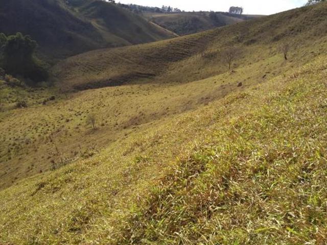 Terreno venda em Região Geográfica Imediata de Conselheiro Lafaiete, Desterro de Entre Rios