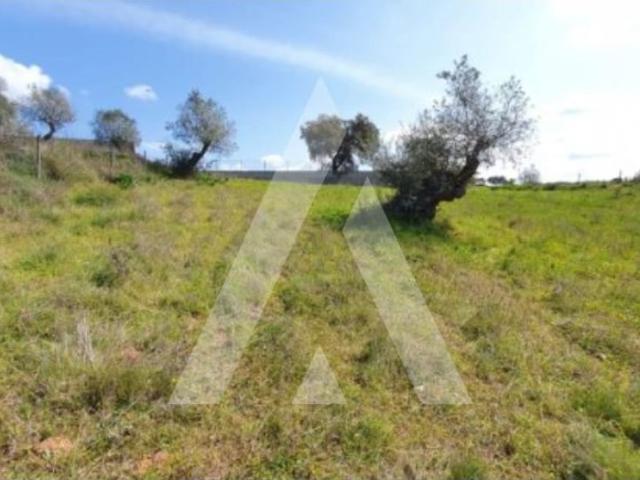 Terreno venda em Alenquer (Santo Estêvão e Triana), Alenquer