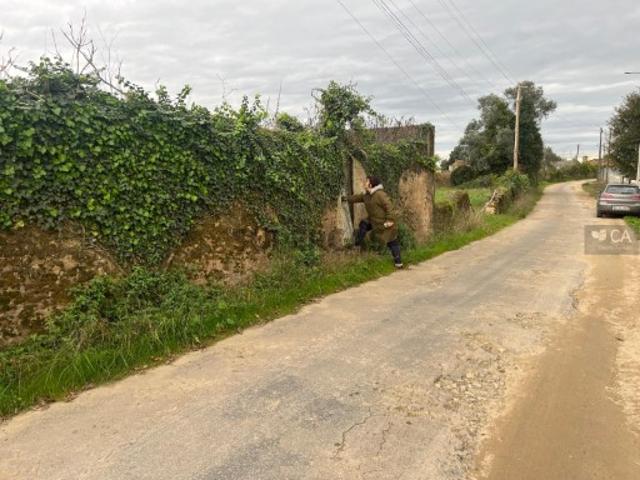 Terreno venda em Nespereira de Cima, Oliveira De Azeméis