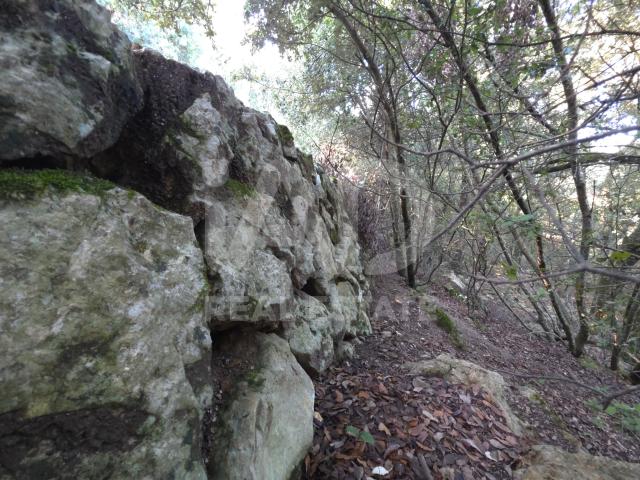 Terreno en venta en Serra de Tramuntana, Baleares