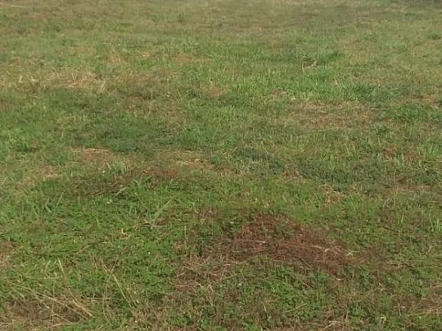 Terreno venda em Região Geográfica Imediata de Belo Horizonte, Região Metropolitana de Belo Horizonte