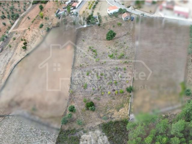 Terreno venda em Castelo Branco