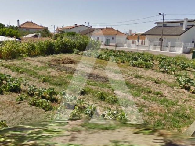Terreno venda em Ílhavo, Aveiro